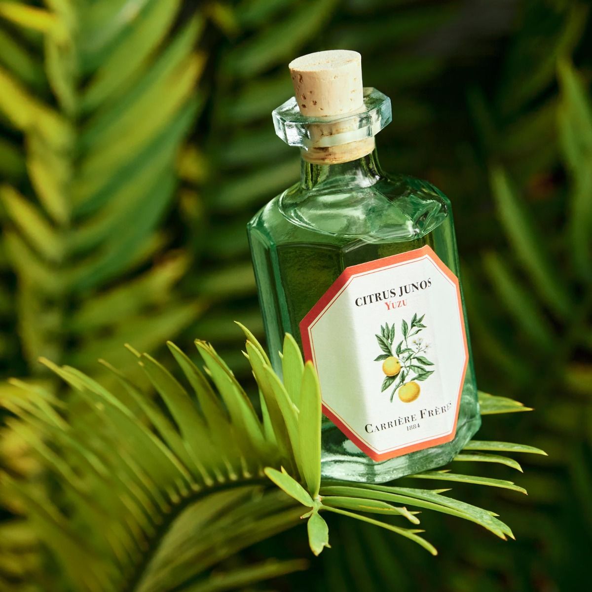 INFLUENCE PARFUM - Diffuseur de parfum - Thé vert & Agrumes