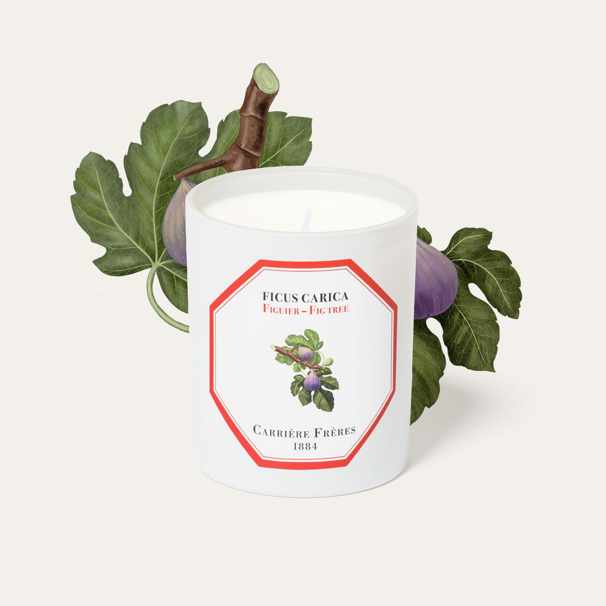 Fig tree Candle