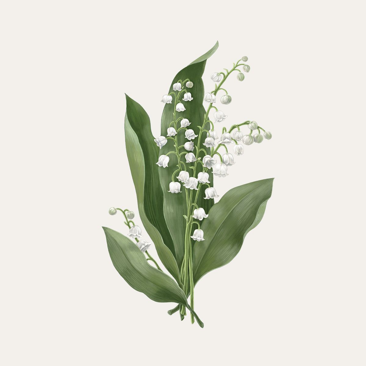 Lily of the valley Candle 