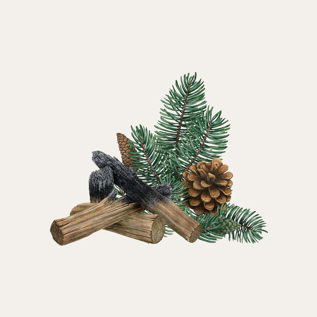 Siberian Pine & Smoked Wood Candle