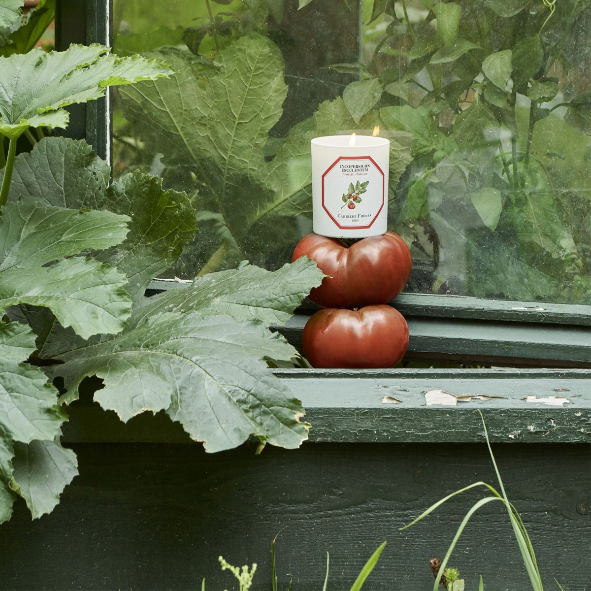 Tomato candle