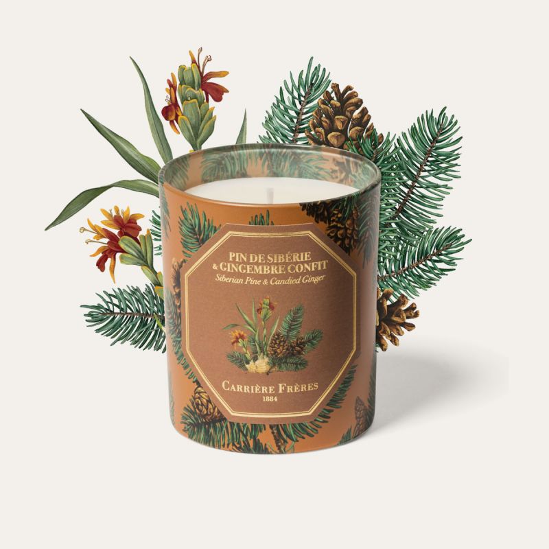 Siberian Pine & Candied Ginger Candle